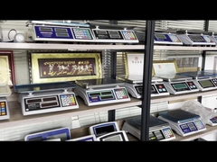 WALL-E โพลตฟอร์มปริมาณพื้นสแตนเลสสแตนเลสสแตนเลส Weighbridge Truck Scale